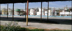 interchem